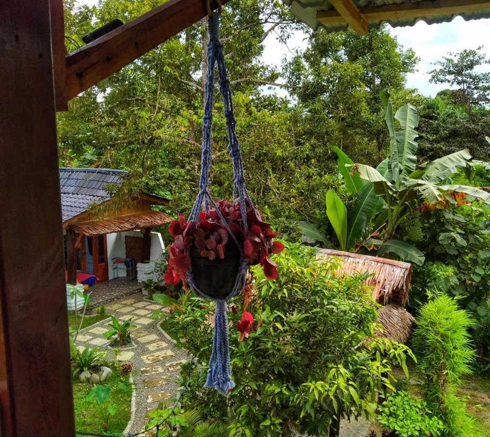 Sumatra Orangutan Discovery Villa Bukit Lawang Extérieur photo