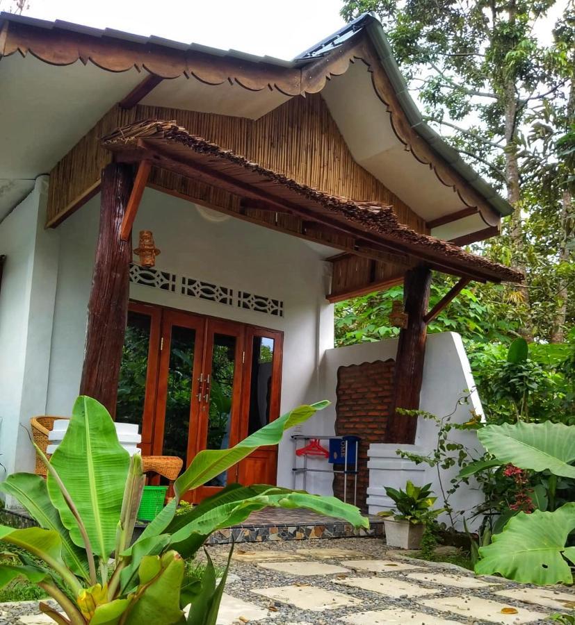 Sumatra Orangutan Discovery Villa Bukit Lawang Extérieur photo