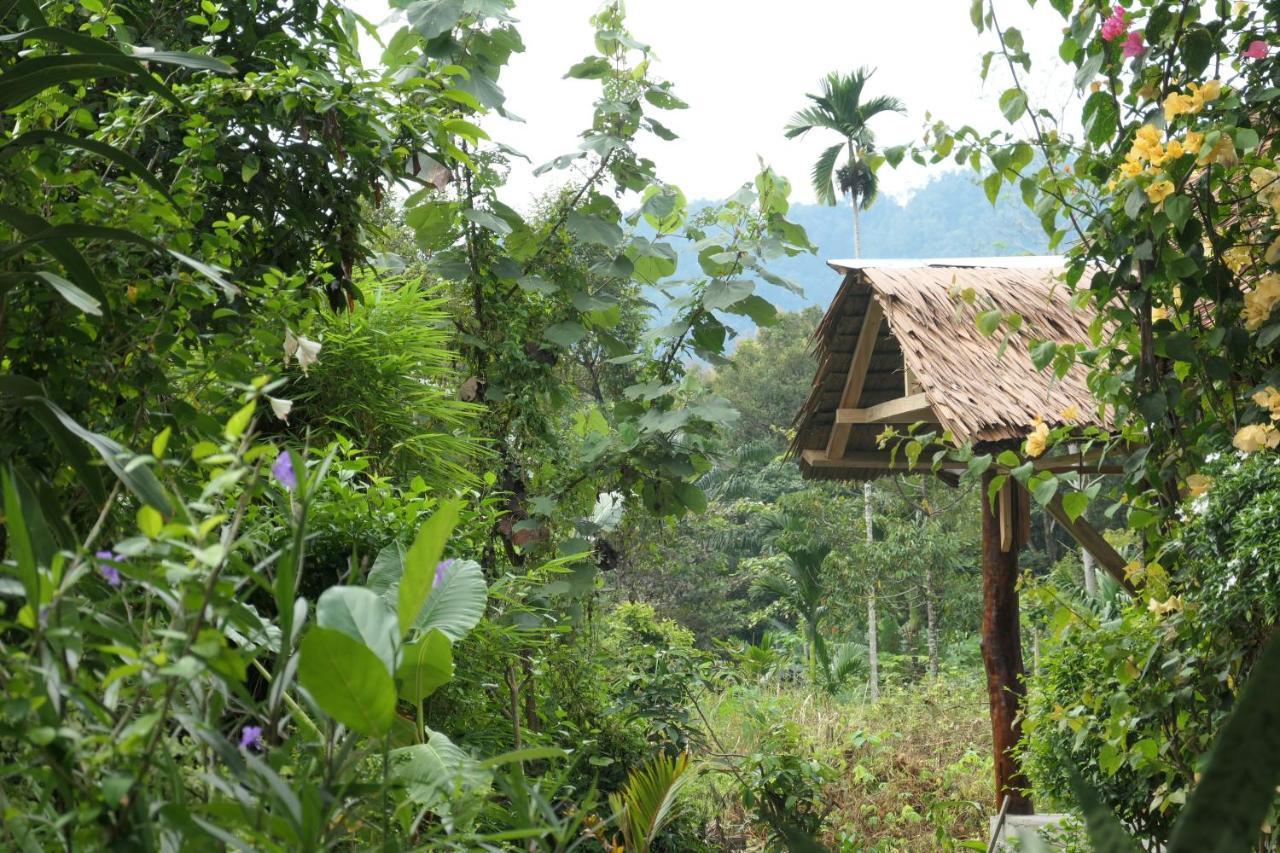 Sumatra Orangutan Discovery Villa Bukit Lawang Extérieur photo